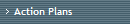 Action Plans